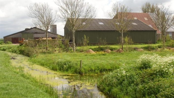 Terpstra_Abbega_017__Large_