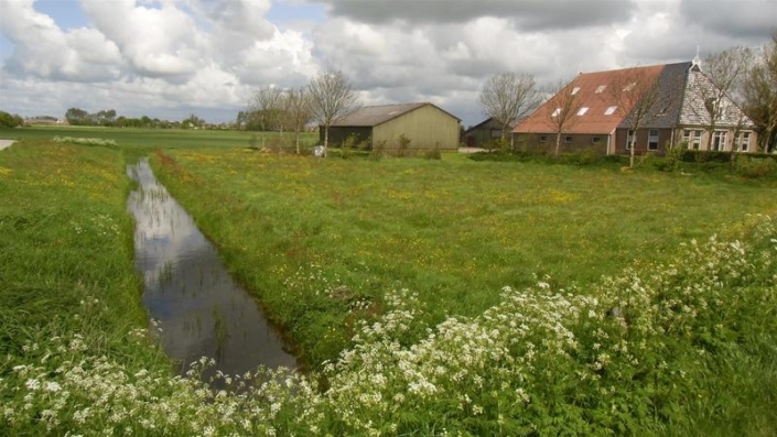 Terpstra_Abbega_020__Large_