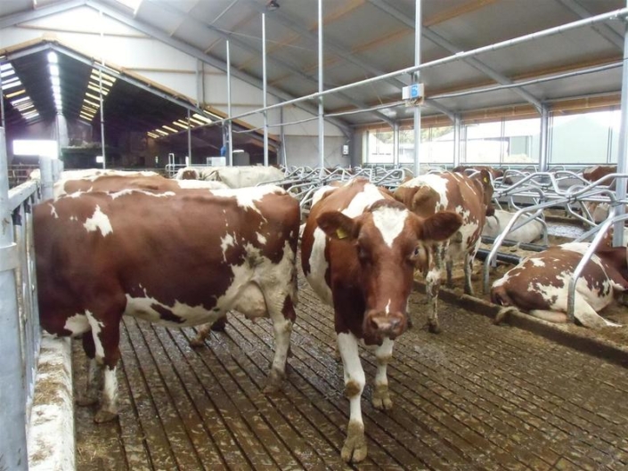 Zeus_emissie-arme_sleuvenvloer