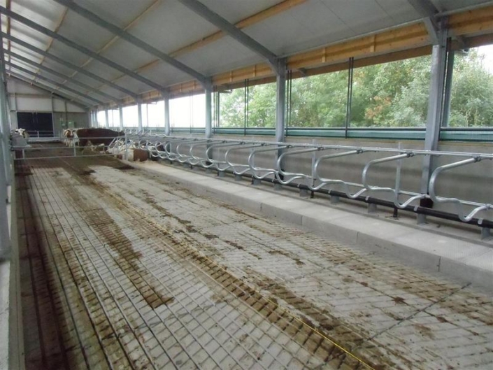 Zeus_loopvloer___diepstrooiselboxdek