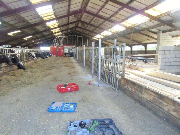 1e_fase_betontrand_01