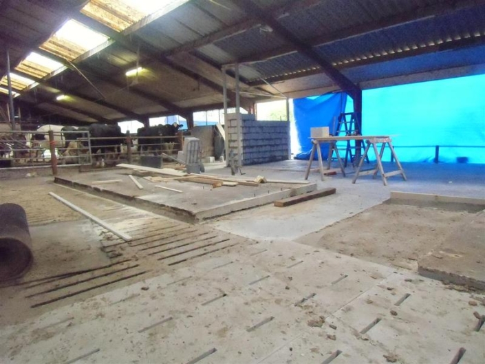 vloren_robot-roosters_01