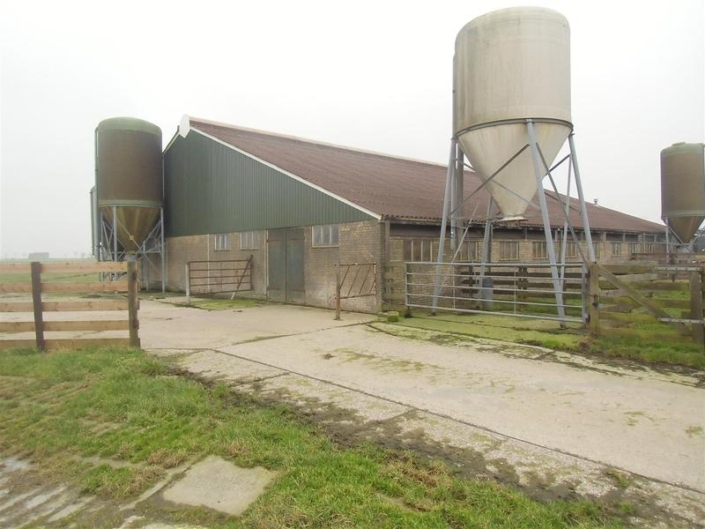 linker_zijgevel_ligboxenstsl