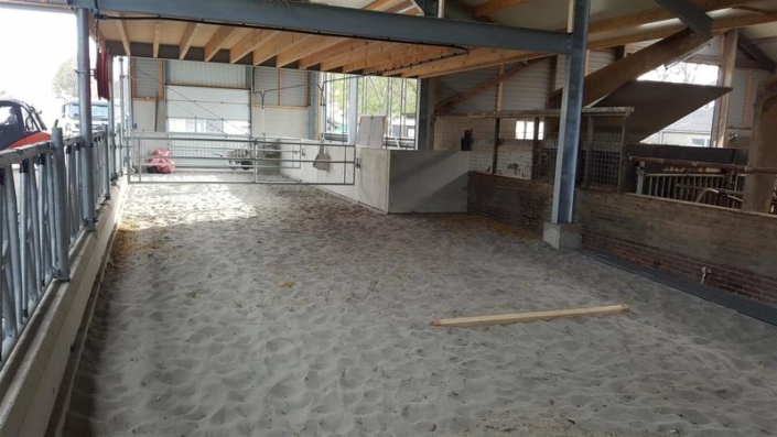 14_zandhok_jongveestal