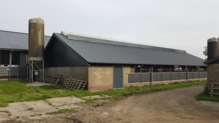 5_gerenoveerde_jongveestal