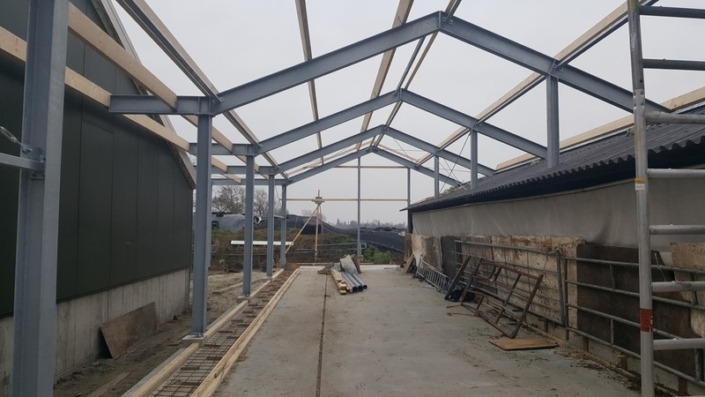 20181215_100432__Large_