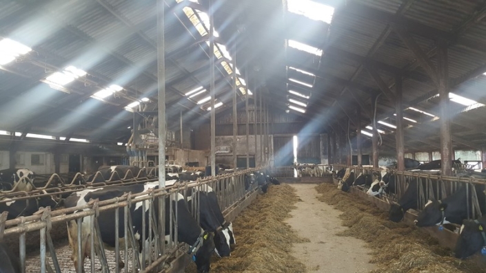 binnenzijde_bestaande_stal